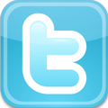 Purely Fiddle Twitter Logo